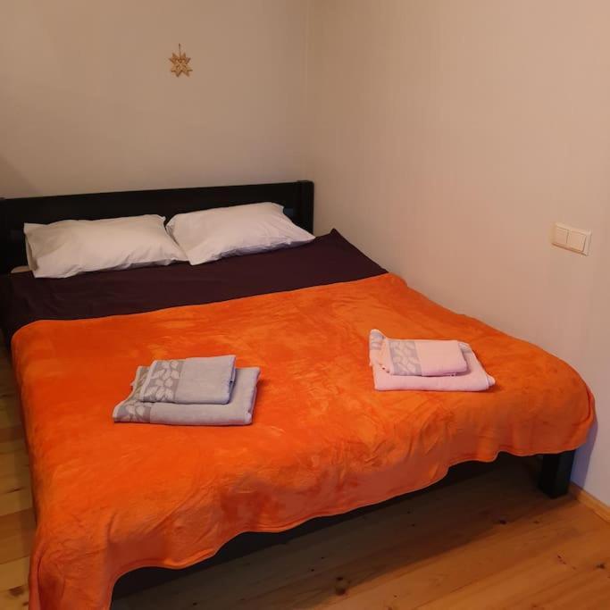 Studio Apartment And Free Airport Transfer ريغا المظهر الخارجي الصورة